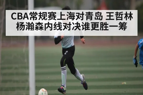 CBA常规赛上海对青岛 王哲林杨瀚森内线对决谁更胜一筹