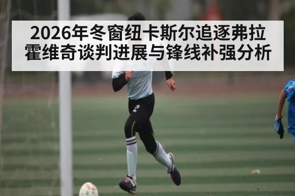 2026年冬窗纽卡斯尔追逐弗拉霍维奇谈判进展与锋线补强分析